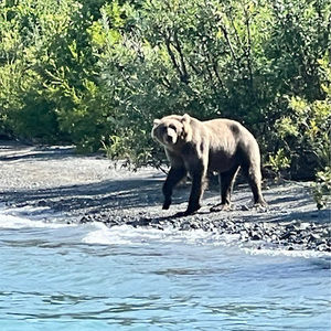 Meet your Posher, Brian